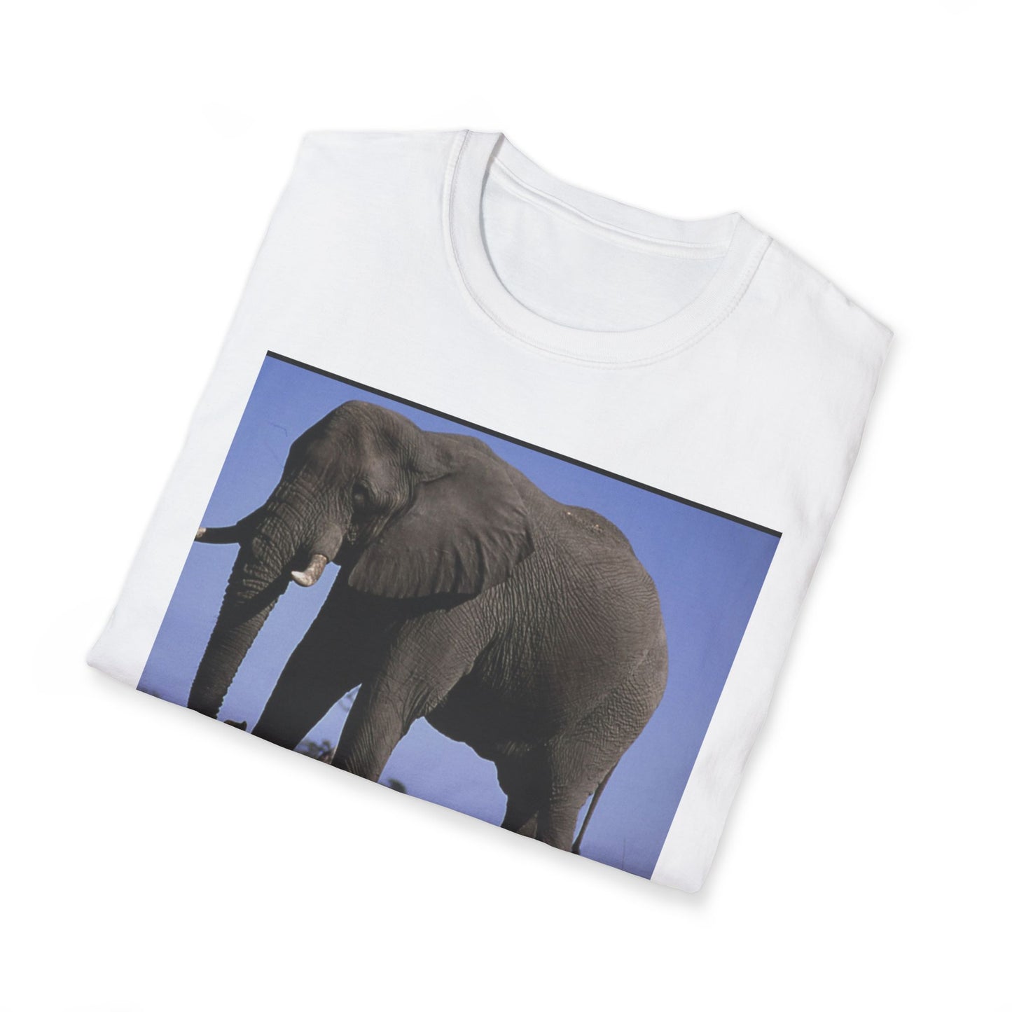 Unisex Softstyle T-Shirt